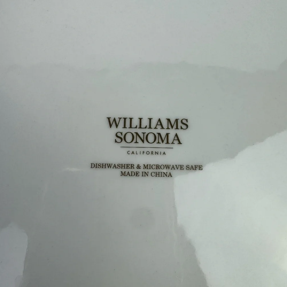 Williams Sonoma California Botanical Pumpkin Dinner Ceramic Plates 11” Ceramic